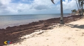 "Si no hay playas limpias, cristalinas e impecables, no hay turismo"  | Captura de video publicado por CTN Dominicano