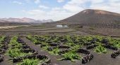 Turismo de Lanzarote y Air Europa firman un acuerdo de co-marketing para atraer al mercado nacional