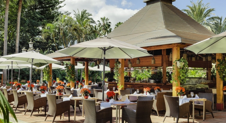 Palmera Real del Hotel Botánico - Puerto de la Cruz -Tenerife