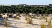 Parque Nacional de Doñana, Huelva