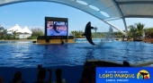 Loro Parque seguirá cuidando de todos sus animales con la calidad y el amor de siempre