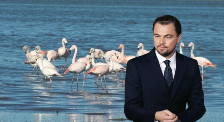 Leonardo DiCaprio promueve la creación de un nuevo Parque Nacional en Argentina