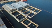 Instalaciones de la 'cárcel de ballenas' de la Bahía de Srednyaya (Primorie, Rusia) | Foto: vía La Voz del Despertar