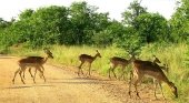 TUI vela por el futuro medioambiental de Sudáfrica