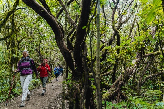 El Tenerife Walking Festival convierte de nuevo a la Isla en la capital europea del senderismmo