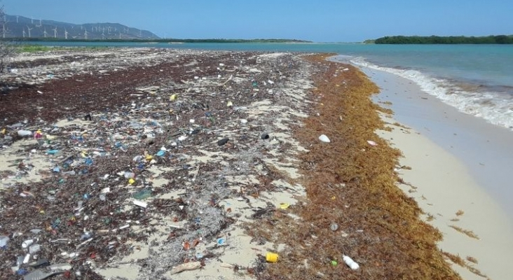 Una de las grandes amenazas del turismo en el Caribe podría ahora ser beneficiosa | Foto: Instituto Tecnológico de Santo Domingo (INTEC)