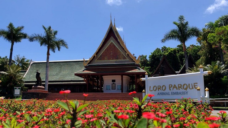 Foto: Loro Parque