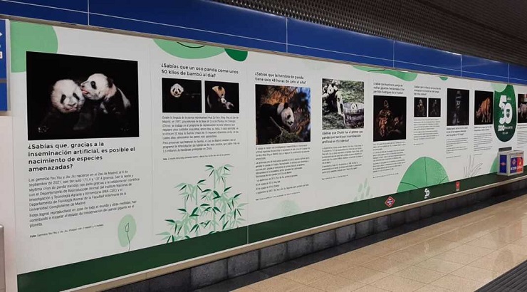 Imágenes y textos informativos en la estacón de Metro de Casa de Campo (Madrid) | Foto: Zoo de Madrid