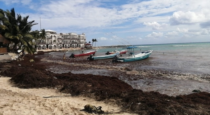 Playa del Recodo (Playa del Carmen), en el Caribe mexicano | Foto: Red de Monitoreo del Sargazo de Quintana Roo