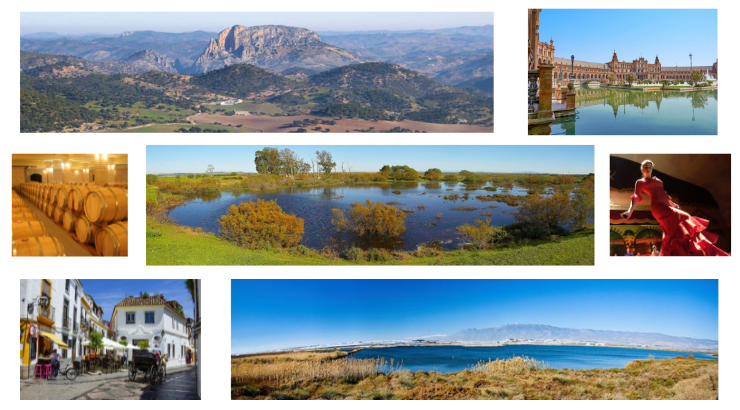 Reservas naturales, bodegas, flamenco, cultura y edificación emblemática Andalucía  Reservas Naturales Junta de Andalucía