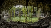 Cenote que forma parte del parque Xibalbá, el último proyecto del Grupo Xcaret | Foto: Grupo Xcaret