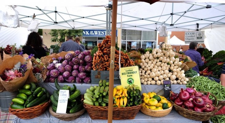 ¿Cuál es la ciudad más veg-friendly de España? | Un 7,8% de los españoles se declara vegetariano