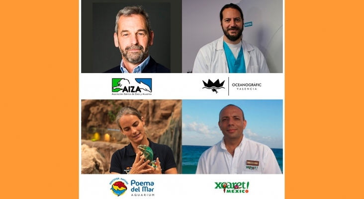 Acuarios y zoológicos, al cuidado de los animales en plena pandemia. Jesús Fernández, vicepresidente de la Asociación Ibérica de Zoológicos y Acuarios (AIZA) - Daniel García, director de Biología del Oceanogràfic de Valencia - Patricia Campos, conservadora y directora técnica de Poema del Mar, Grupo Loro Parque - Rodolfo Raigoza, director de Conservación del Grupo Xcaret (México).