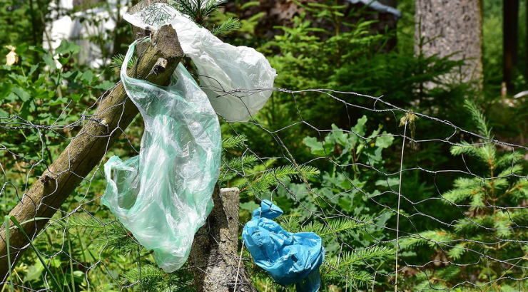 Basura y residuos en un Espacio Natural Protegido