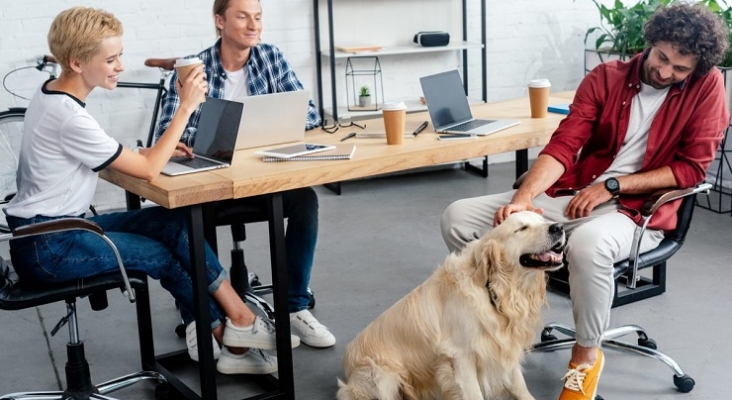 ‘Trae tu perro al trabajo’, la curiosa iniciativa de Hotelplan UK para la Semana de la Salud Mental | Foto: Terceto Comunicación