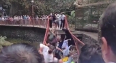 Un puente colgante se desploma durante la reinauguración del Parque Barranca de Amanalco (México) Vía Captura Vídeo