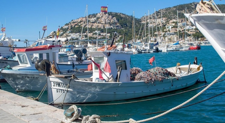 Botes pesqueros en el Puerto de Andratx (Mallorca)