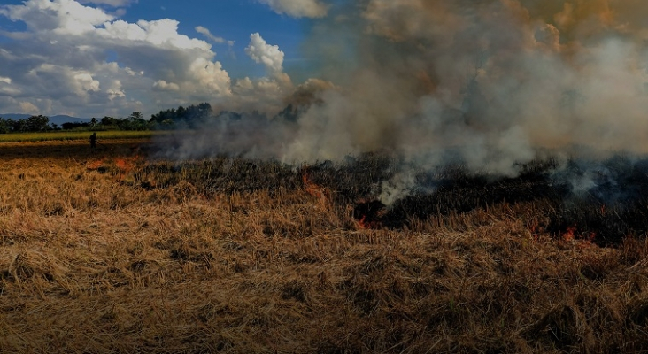 Los incendios de verano desatan las alarmas en los mercados turísticos | Fotos: portugalchama.pt