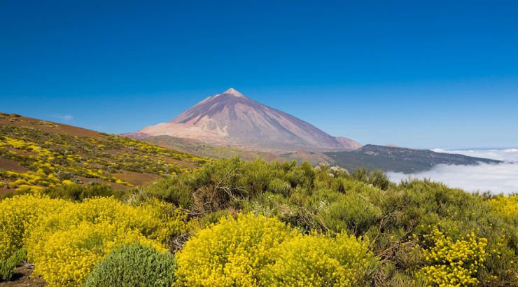 Parque Nacional del Teide (Tenerife) | Foto: Web Tenerife