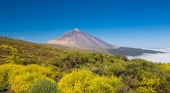 Parque Nacional del Teide, en Tenerife (Canarias) | Foto: Web Tenerife