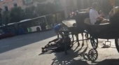 En la imagen, captura del vídeo del desplome de un caballo en las calles de Palma (Mallorca) en plena ola de calor