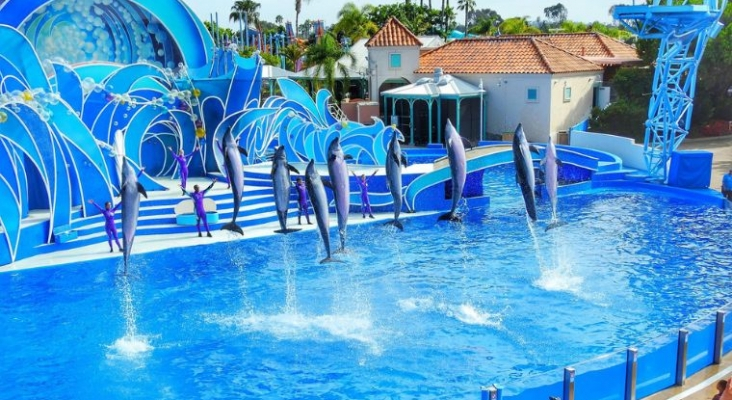 SeaWorld quiere complementar sus parques temáticos con hoteles propios