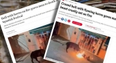 Las muertes por festejos taurinos se disparan en España e impactan a la prensa internacional