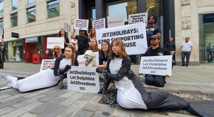 Manifestantes de PETA ataviados como orcas encadenadas Foto PETA