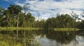 Parque natural de Chitwan