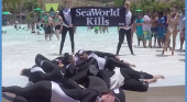 "SeaWorld mata"