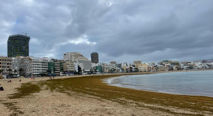 Seba en la playa de las Canteras (Gran Canaria) | Foto: Tourinews®