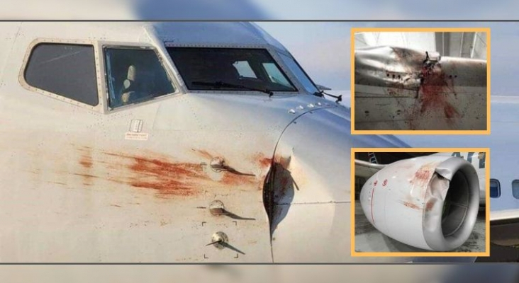 Un Boeing 737 aterriza de emergencia por el impacto de una bandada de aves