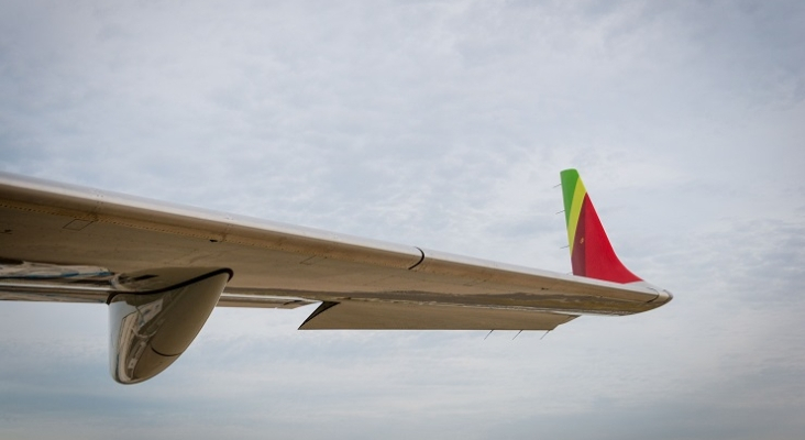 Ala de avión de TAP Air Portugal