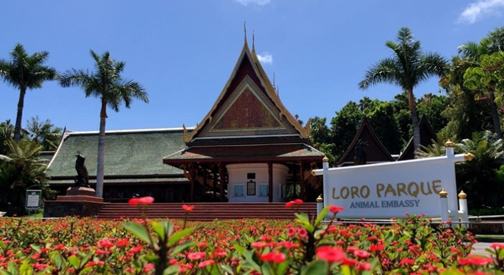 Loro Parque cumple 50 años