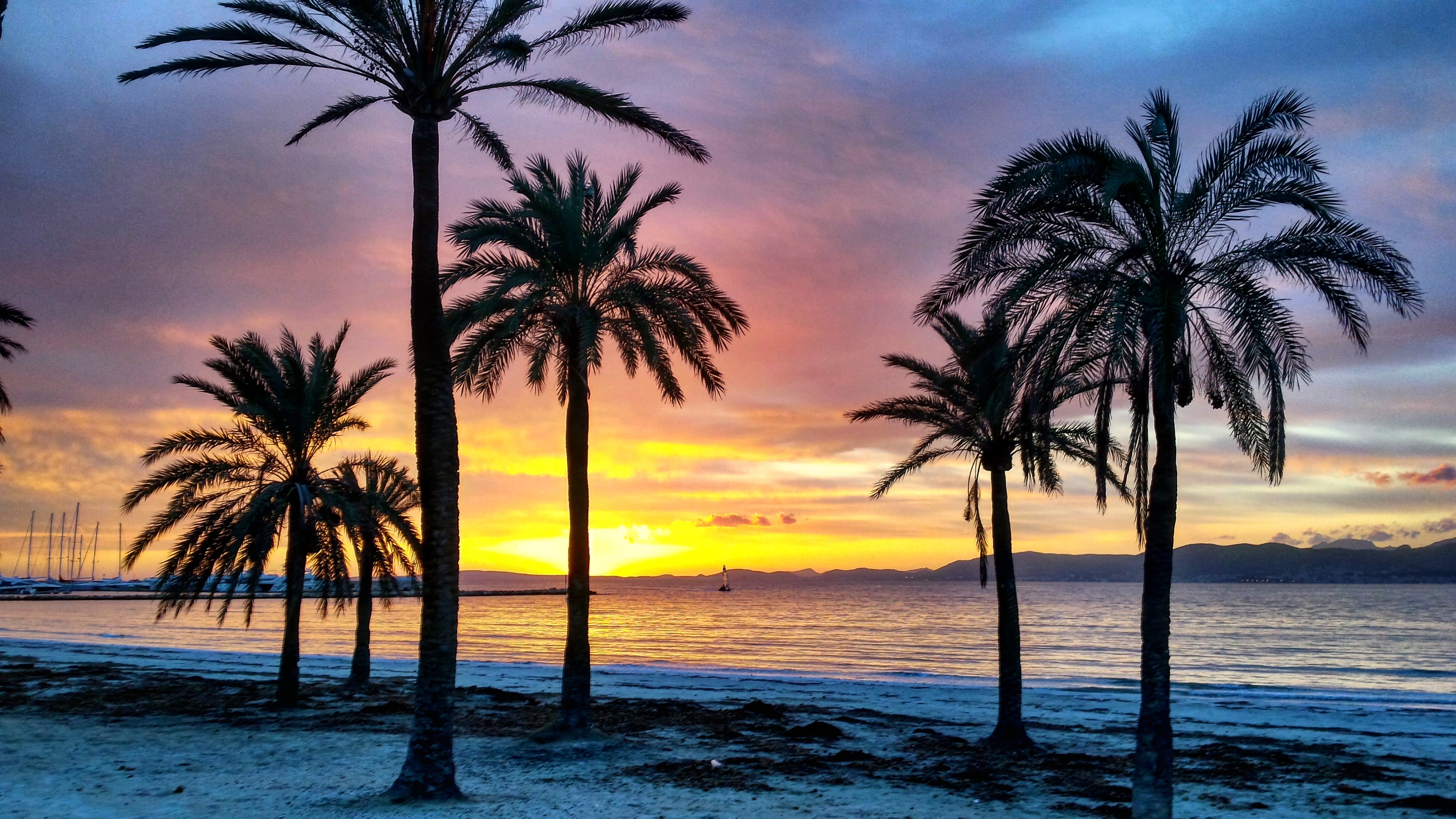 Palma Beach Palma Beach