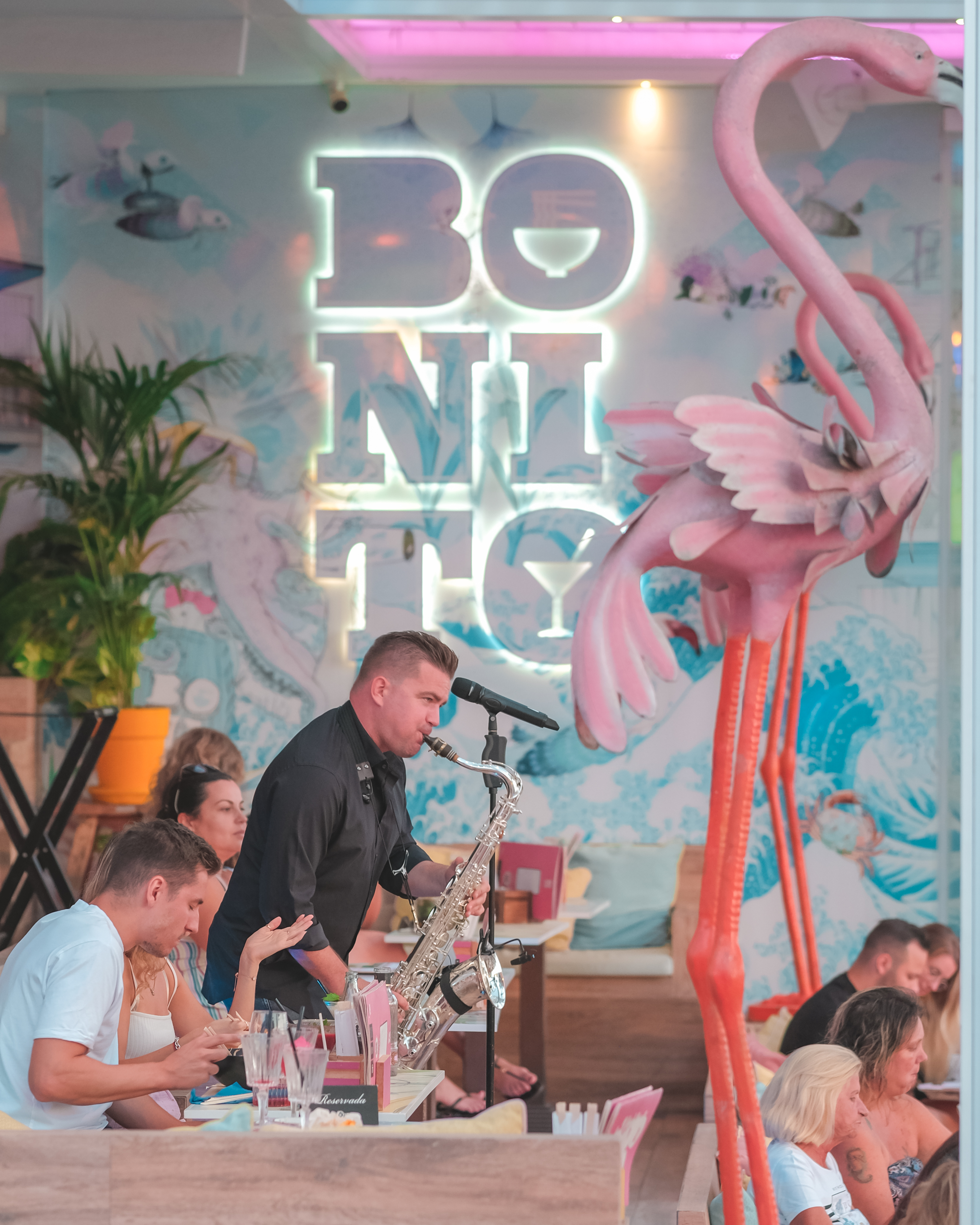 Peter Sax Bonito 2022 Peter Sax Bonito 2022