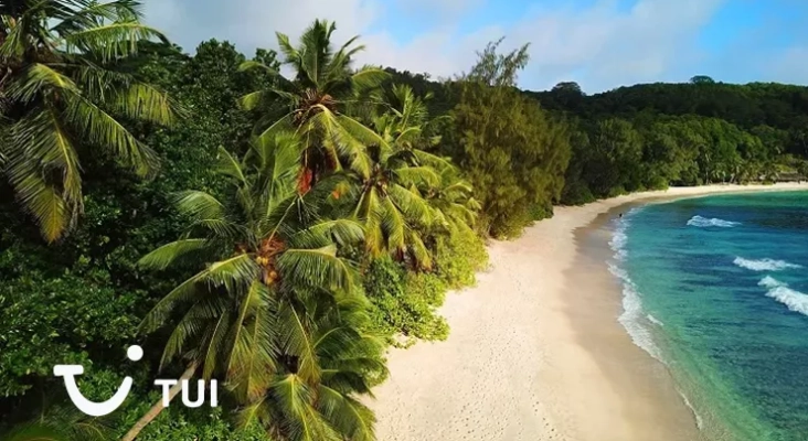 tui fiji