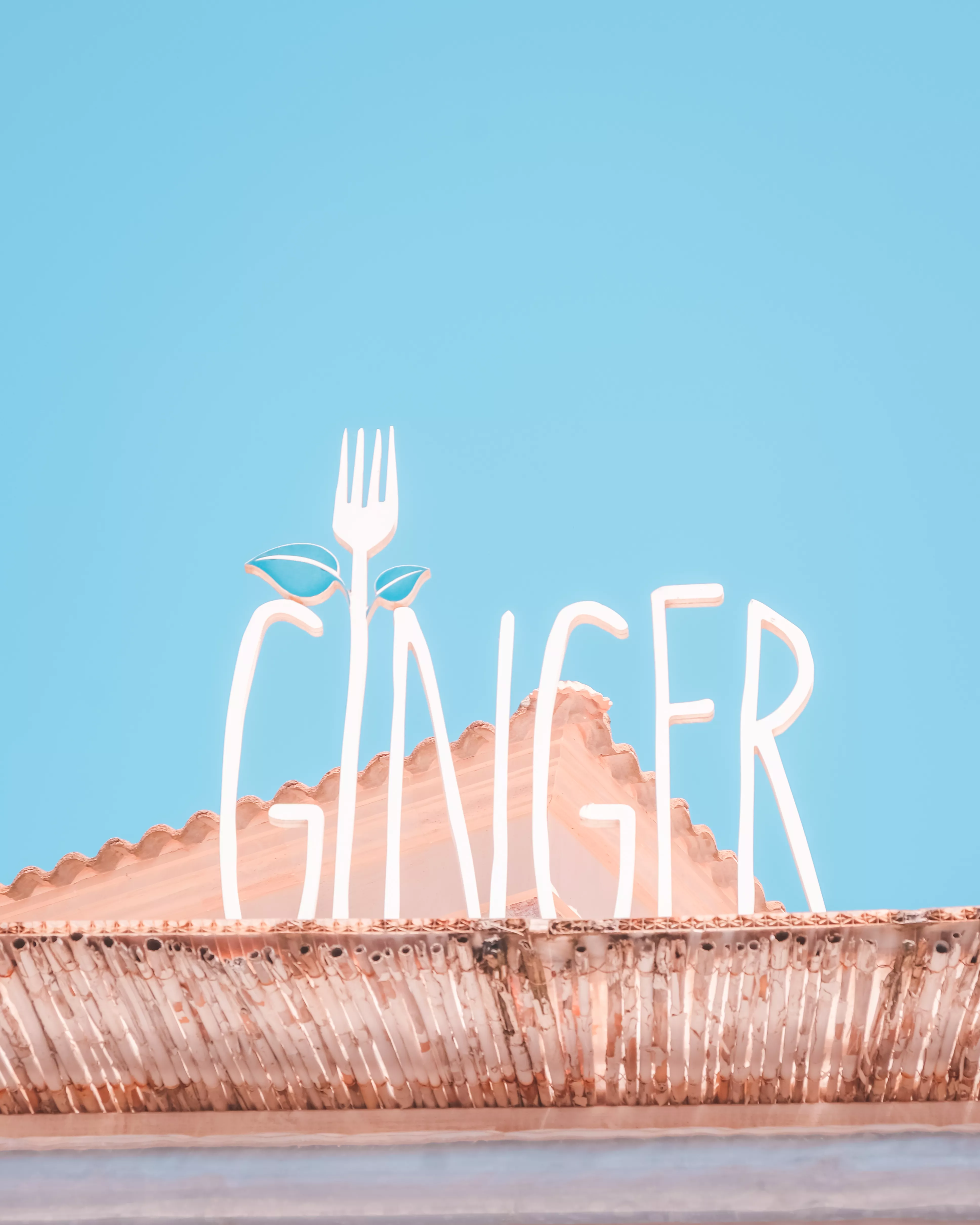 Ginger fresh & natural - Do Experts