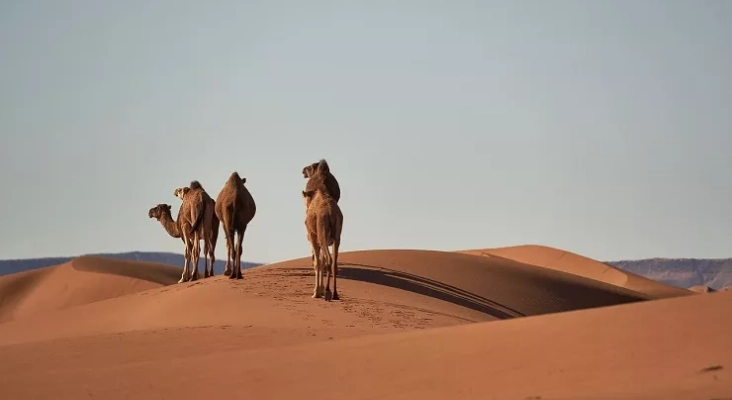 Los ingresos por turismo en Marruecos crecen un 50% con respecto a 2019