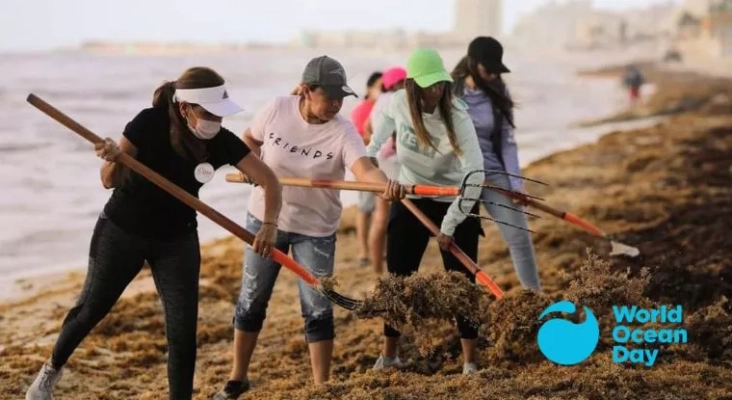 Día Mundial de los Océanos: el sargazo, un gran reto del Caribe | Foto: Ana Patricia Peralta, alcaldesa de Benito Juárez, vía Red de Monitoreo del Sargazo de Quintana Roo
