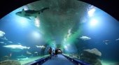 Oceanogràfic de Valencia, acuario español premiado