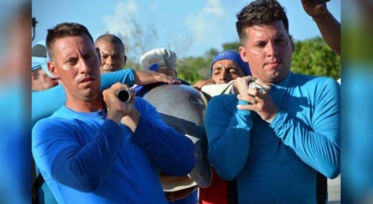 Delfines trasladados en Cuba