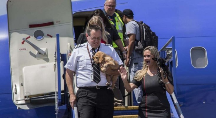 SouthWest Airlines evacua a animales