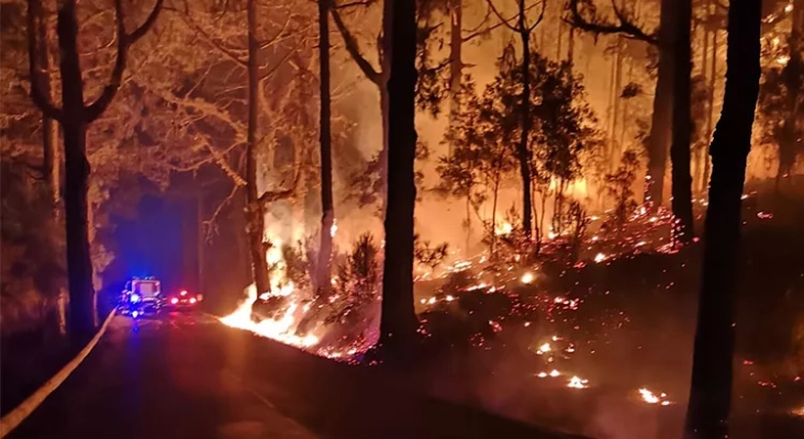 Incendio forestal en Tenerife | Foto: Cabildo de Tenerife