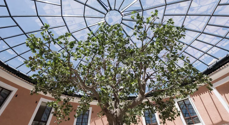 Cúpula de cristal que alberga el nuevo espacio gastronómico La Redonda en el hotel Castilla Termal Brihuela | Foto: Castilla Termal