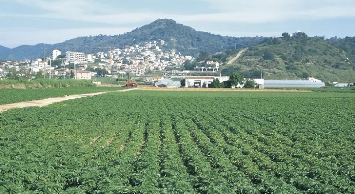 Terreno agrícola en Santa Susanna, en la comarca de El Maresme (Barcelona) | Foto: Turisme de Catalunya