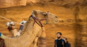 Dromedario y turistas en Petra, Jordania