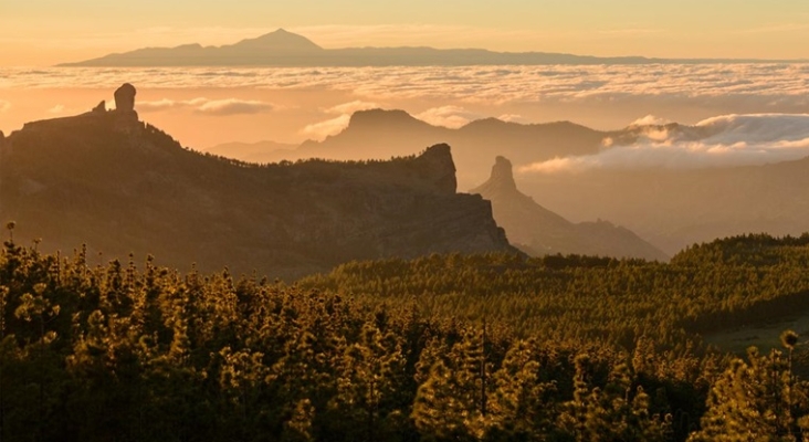 Dos islas de Canarias lideran las reservas de los viajeros suecos para Navidades, según Ving | Foto: Hola Islas Canarias