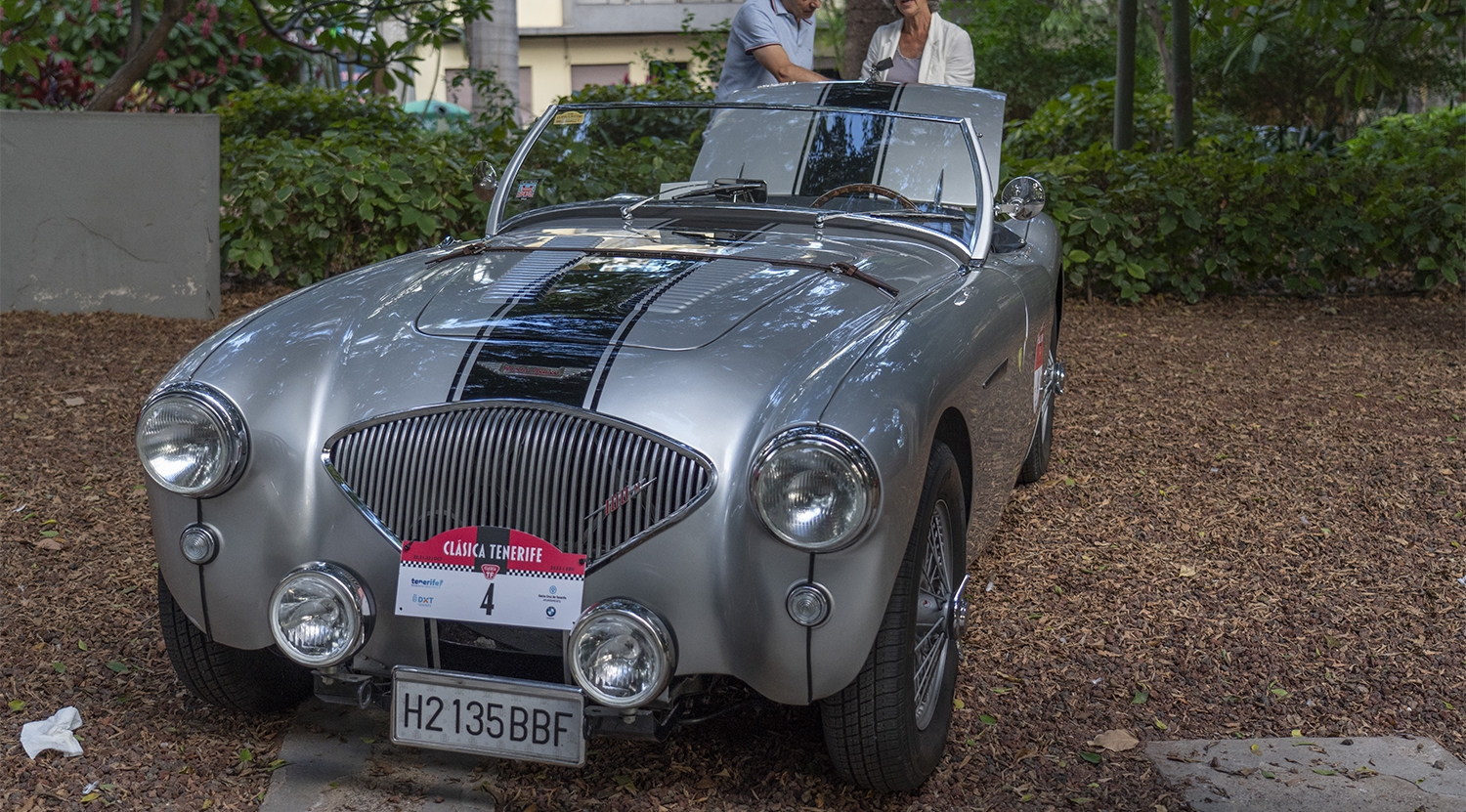 Austin-Healey 100M | Foto: Clásica de Tenerife