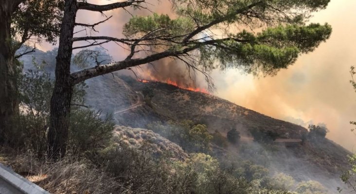 Imágenes del incendio en Tejeda